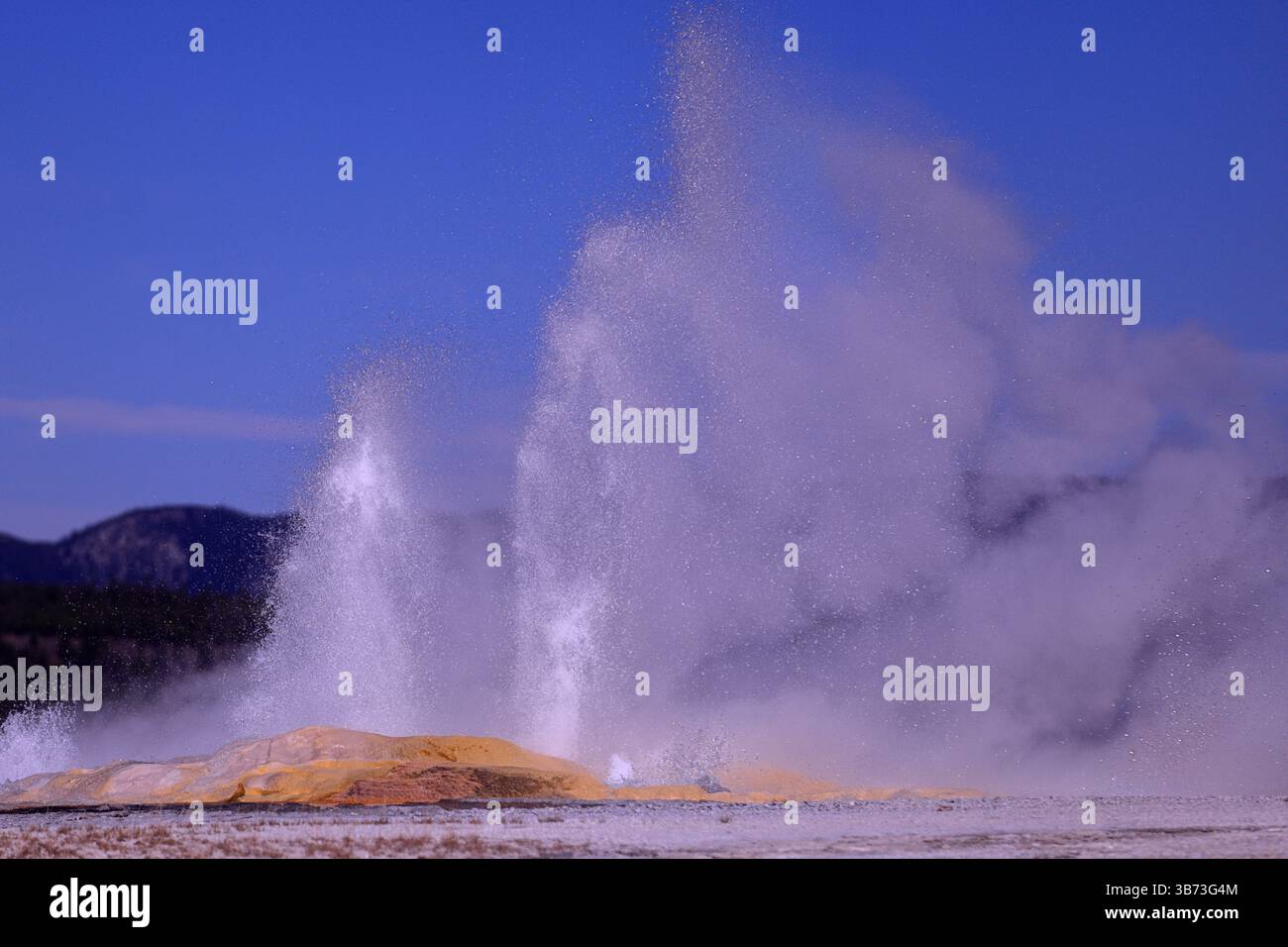 At Upper Geyser Basin in Yellowstone National Park, Wyoming, USA, a ...