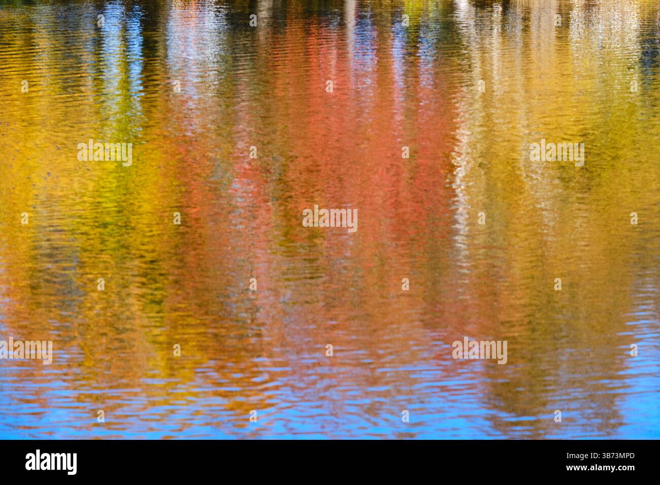 abstract colour reflection in water of trees in autumn colours Stock Photo