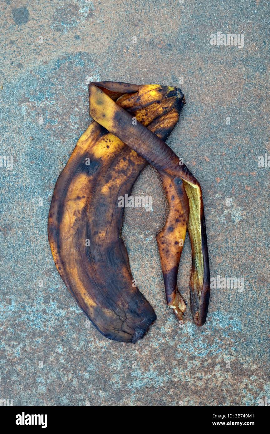 Discarded browning banana skin lying on brown sandstone Stock Photo