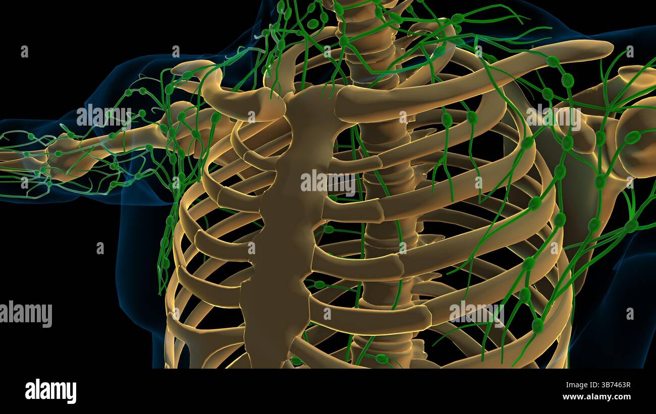 Body fluid animation hi-res stock photography and images - Alamy