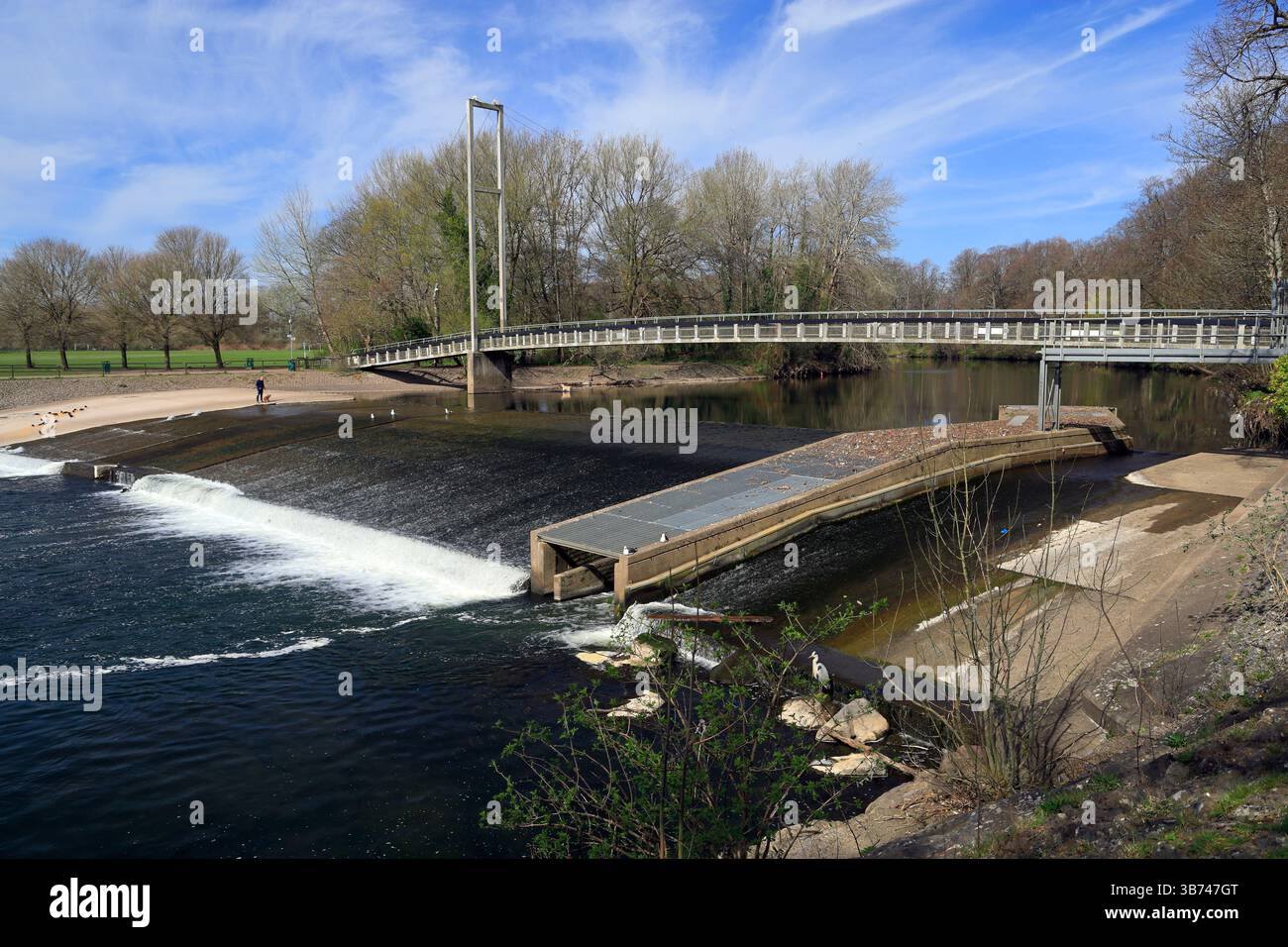 Blackweir suspension bridge and River Taff, Pontcanna Fields, Cardiff ...