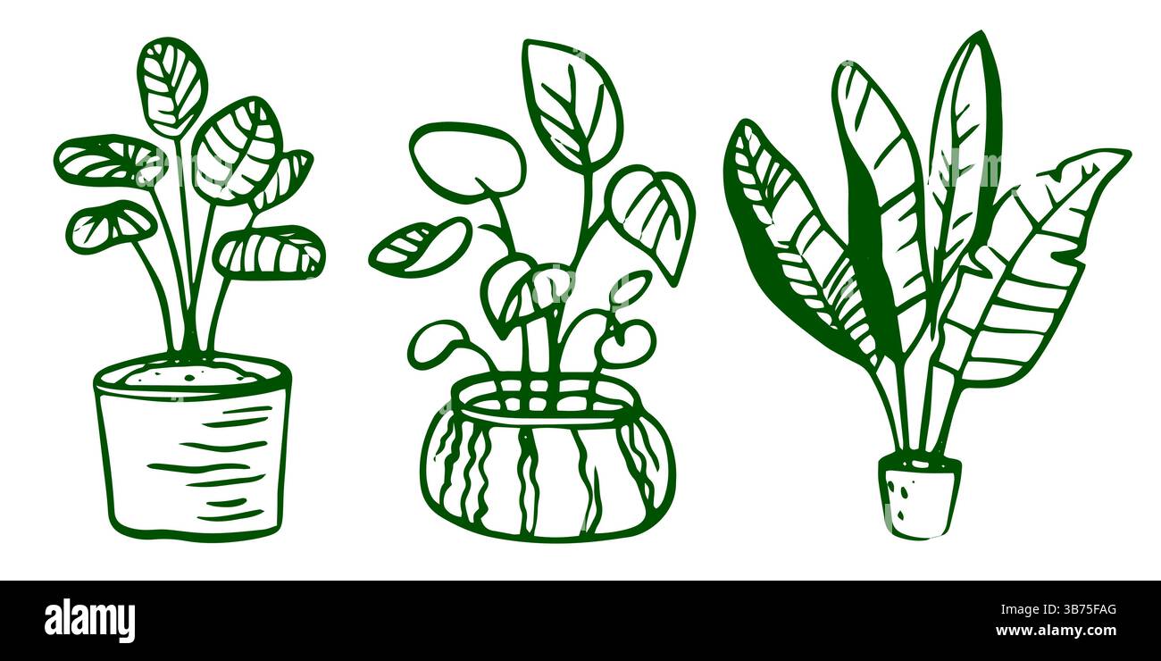 Indoor Plants in Flower Pots Vector Collection Stock Vector