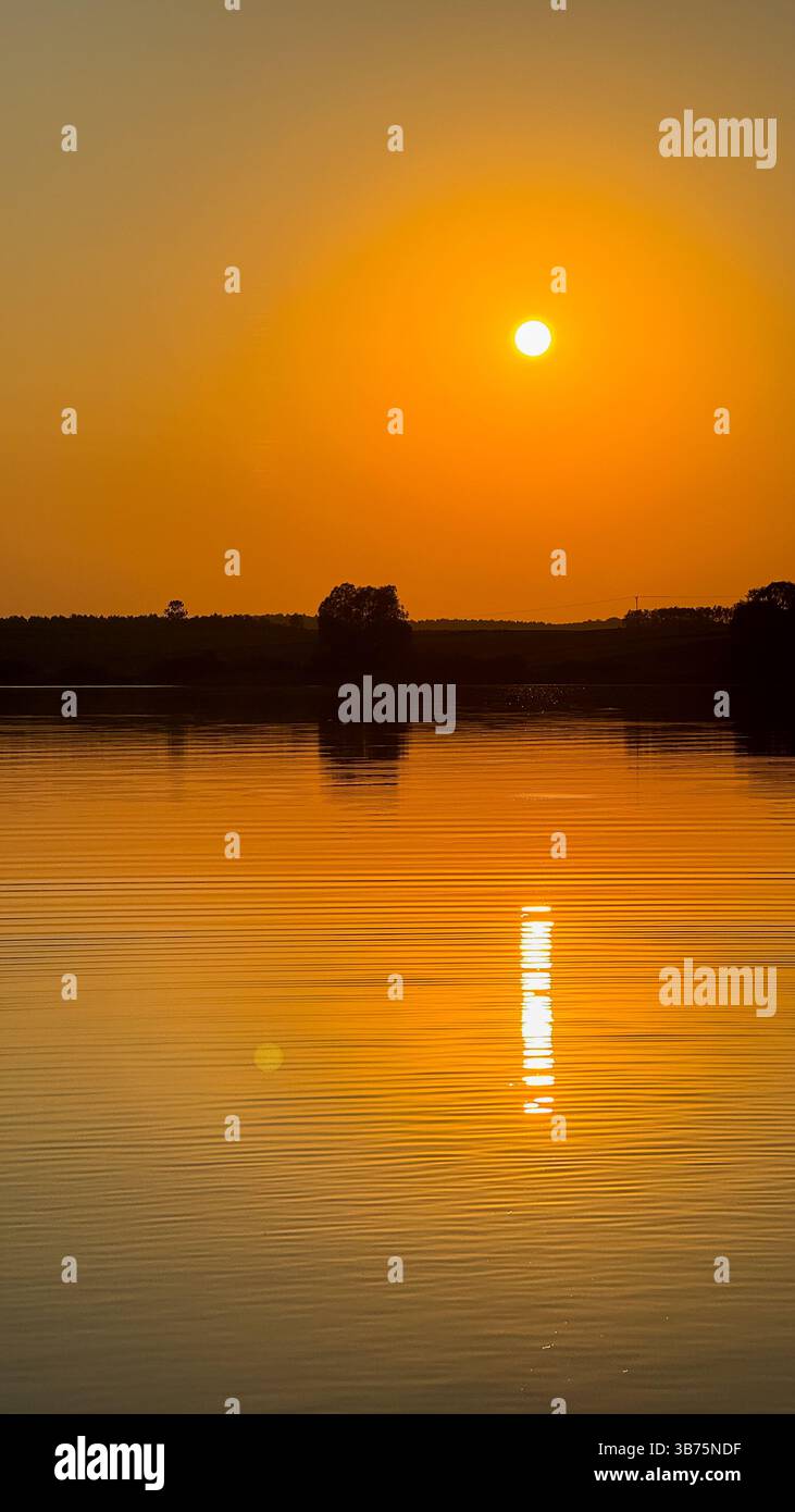 Captivating golden sunset over tranquil lake with reflected sunlight and silhouetted trees in serene evening atmosphere. Stock Photo