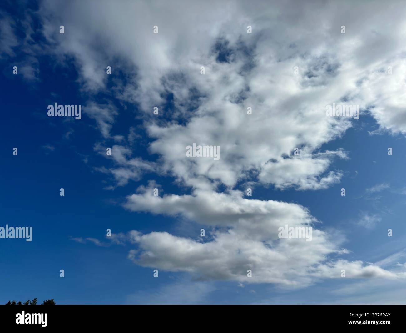 The bright blue sky is filled with soft, billowy white clouds, creating a beautiful view. - Smartphone Captured Stock Image