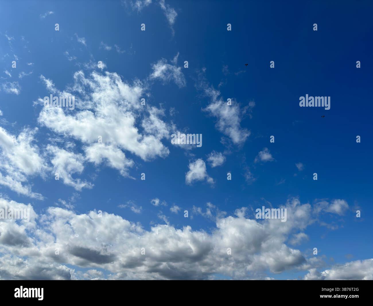 The bright blue sky is filled with fluffy white clouds creating a beautiful, sunny day. - Smartphone Captured Stock Image
