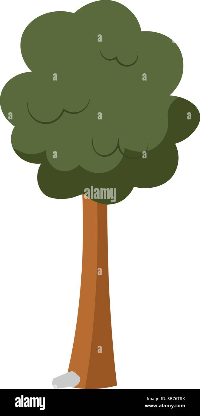 Tall leafy green tree. Vector illustration Stock Vector Image & Art - Alamy