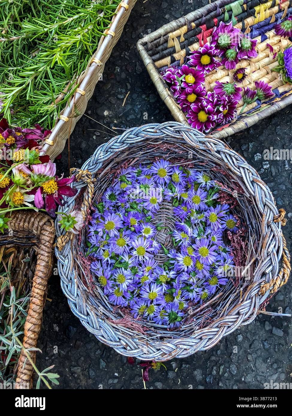 Day of the Dead is celebrated every November in the Latino neighborhood of Fruitvale in Oakland, California. Flowers for creating altars. Stock Photo