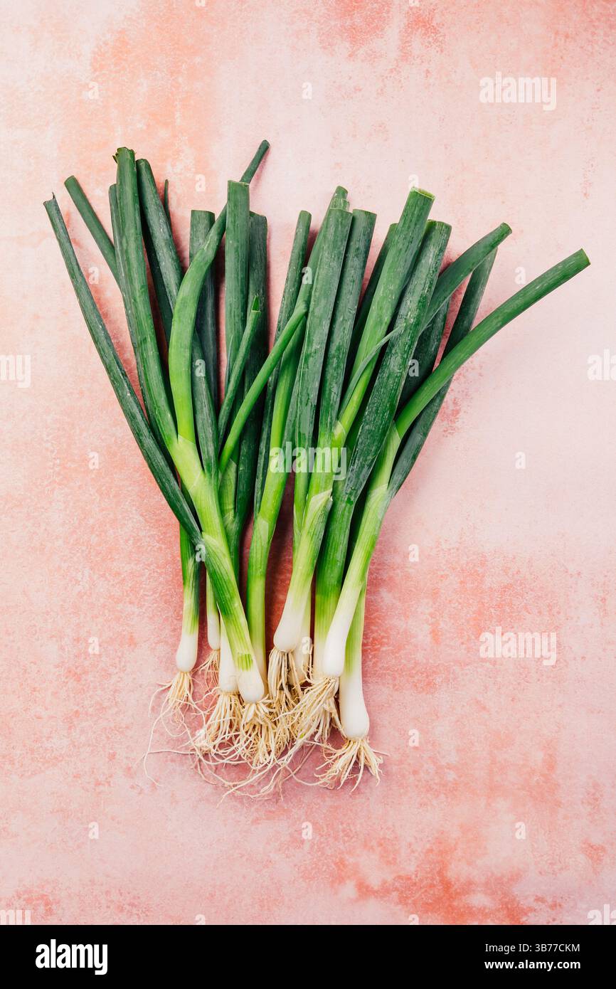 Bunch of green, spring onions on pink background Stock Photo