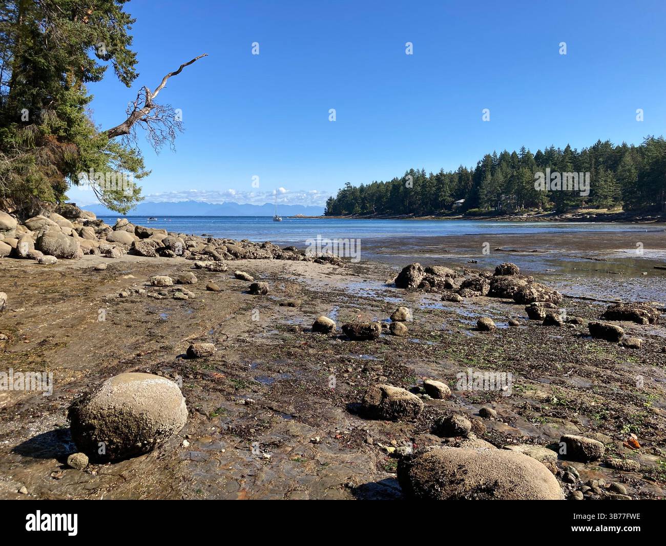 Gabriola Sands Provincial Park, Gabriola Island, British Columbia, Canada - Smartphone Captured Stock Image