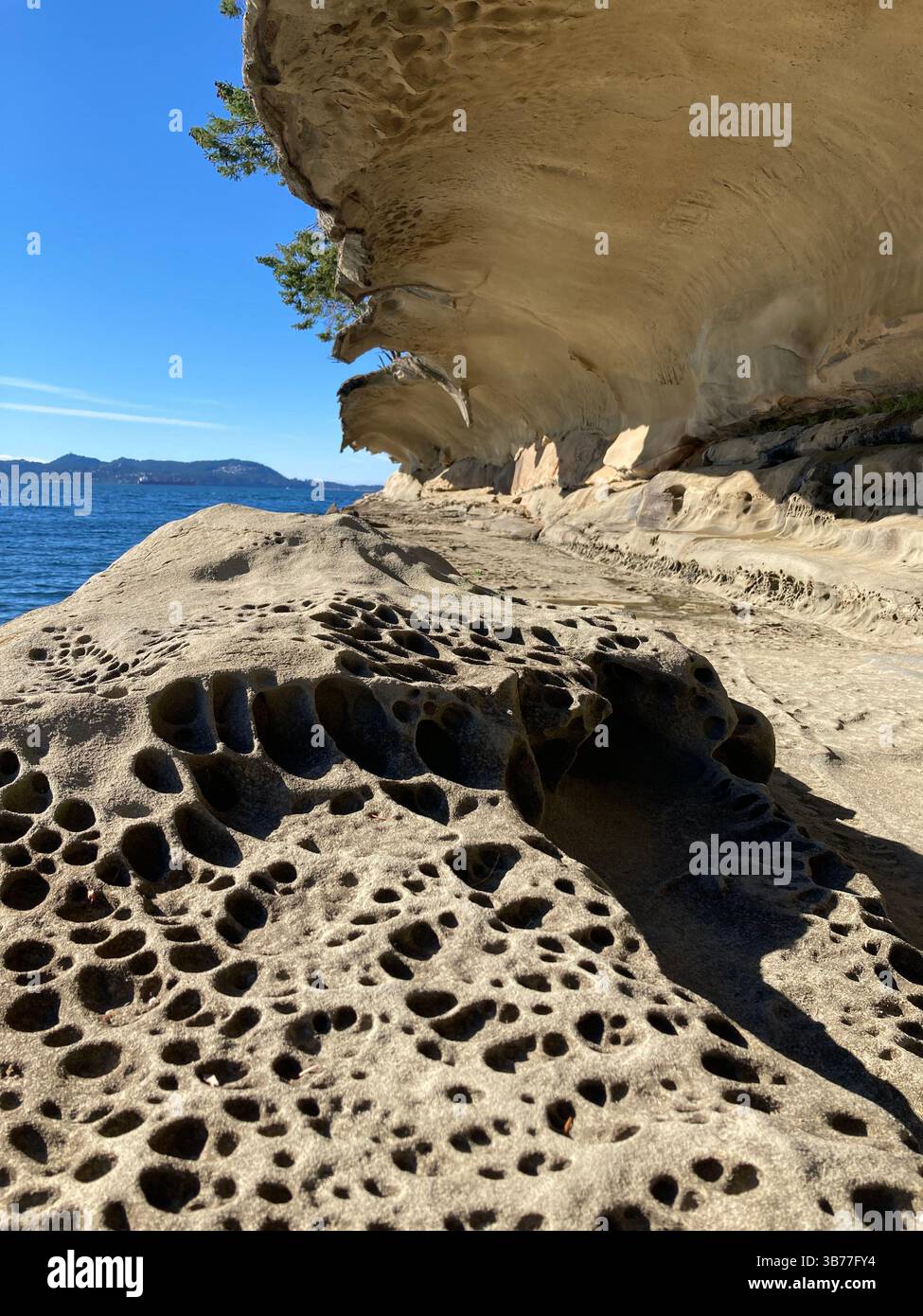 Malaspina Galleries Community Park, Gabriola Island, British Columbia, Canada - Smartphone Captured Stock Image