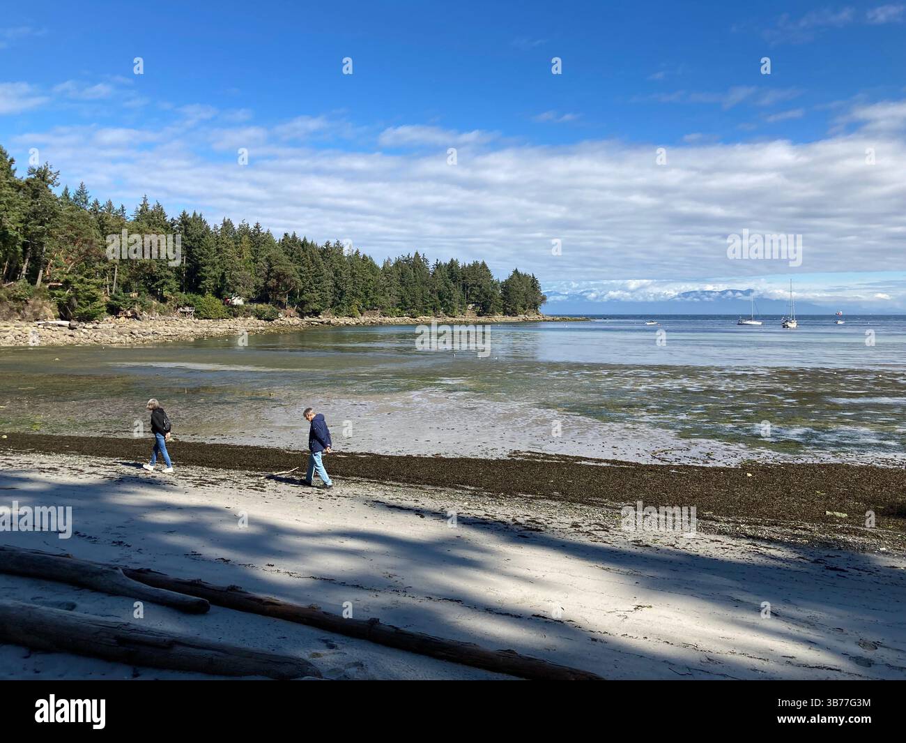 Gabriola Sands Provincial Park, Gabriola Island, British Columbia, Canada - Smartphone Captured Stock Image