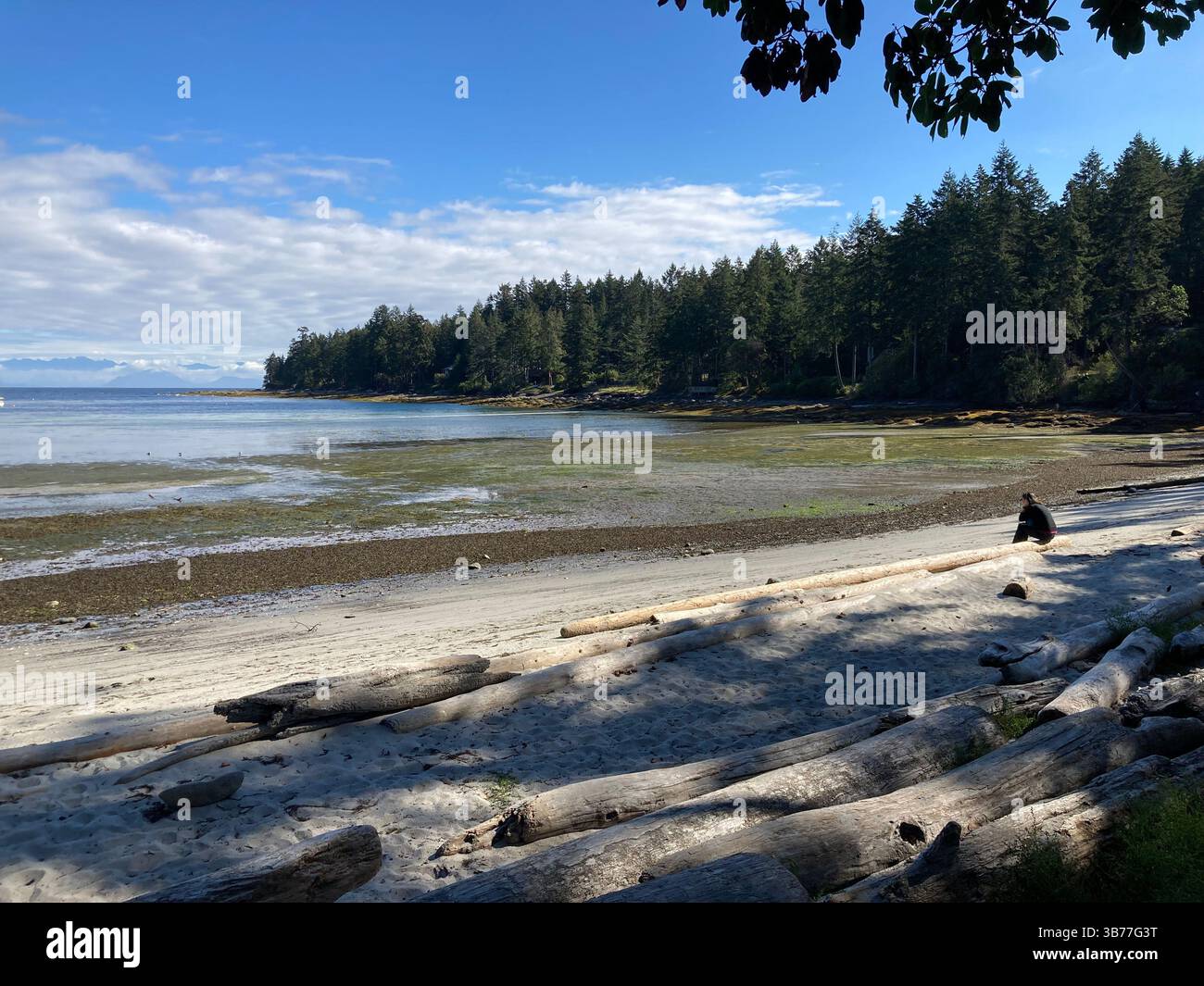 Gabriola Sands Provincial Park, Gabriola Island, British Columbia, Canada - Smartphone Captured Stock Image