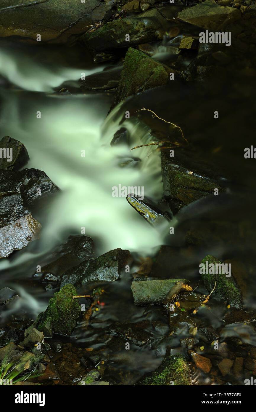 Melincourt Brook just below Melincourt Falls. Stock Photo