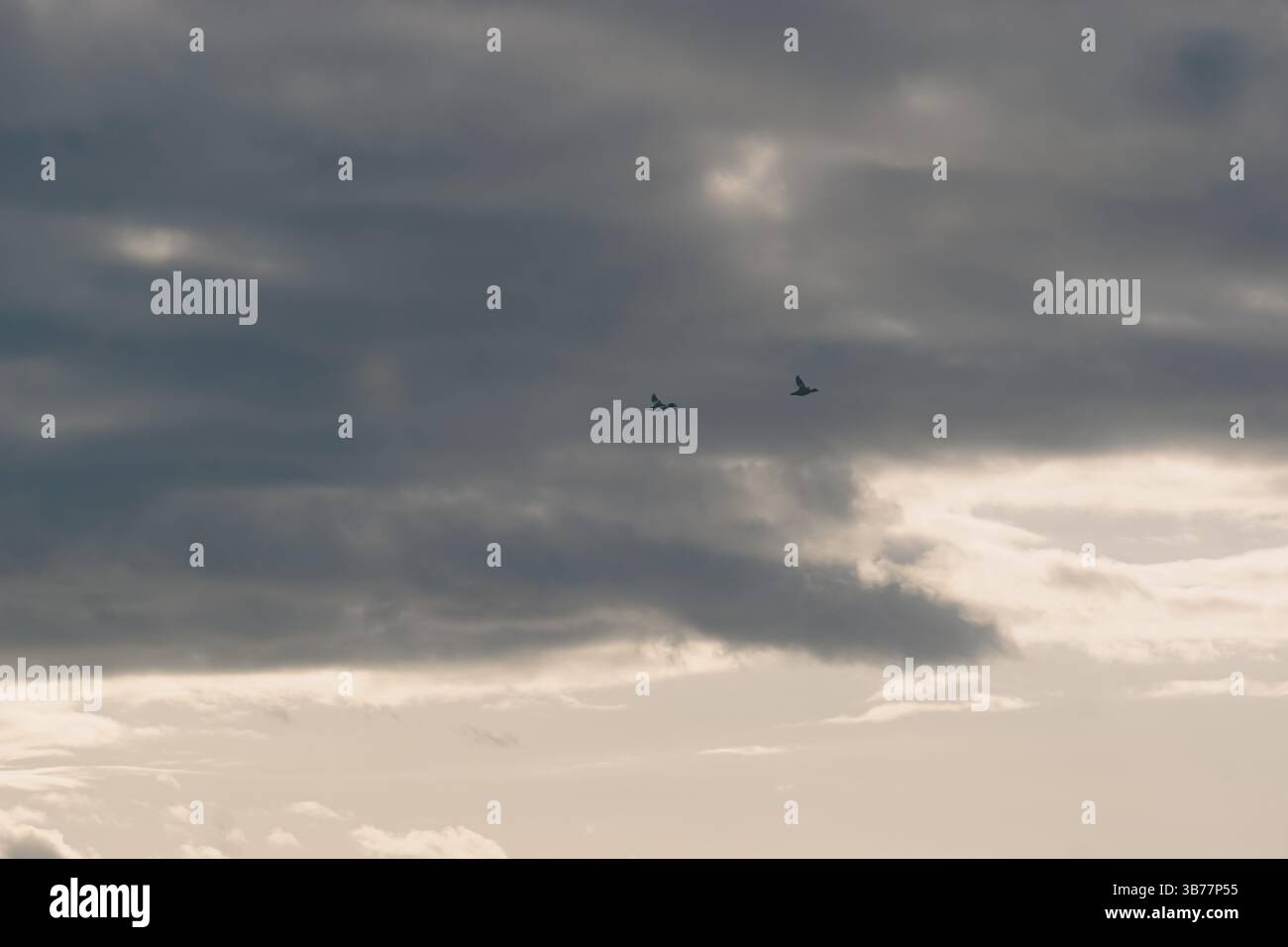 Vintage image of cloudy sky hi-res stock photography and images - Alamy