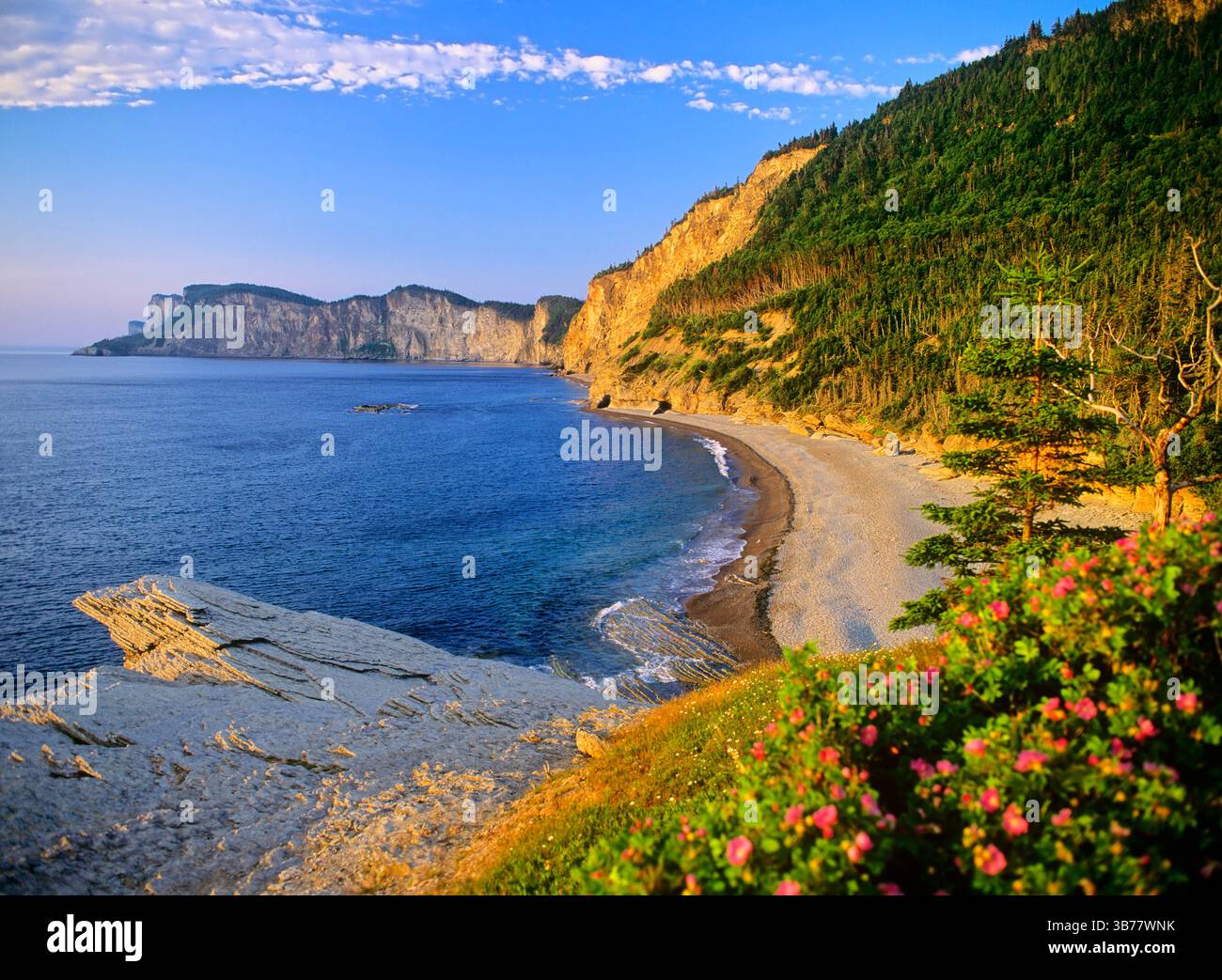 North America, Canada, Quebec, Gaspe Peninsula, Forillon National Park, Cap-Bon-Ami, Appalachian Mountains Stock Photo