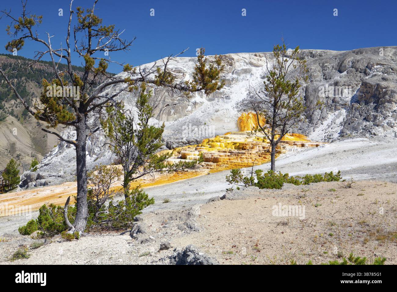 Mammoth Hot Springs is a large complex of hot springs on a hill of ...