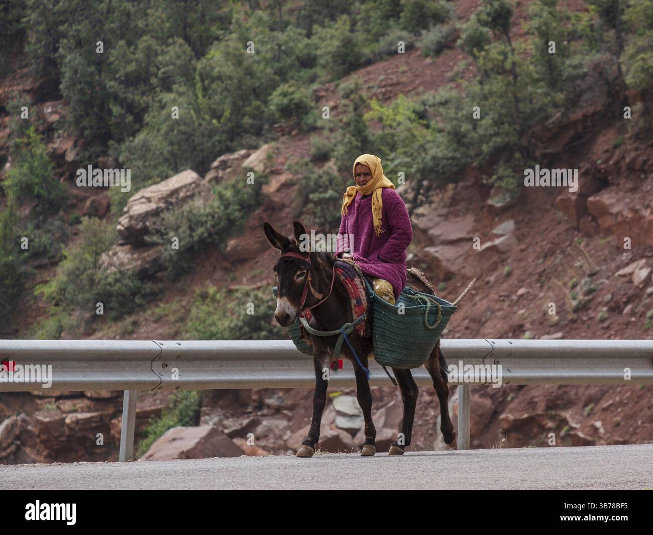 Berber woman riding a donkey, Ait Blal, azilal province, Atlas mountain ...