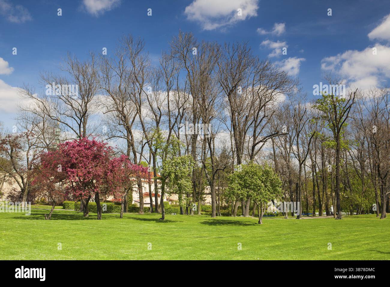 On the Petrin Hill in flowering spring park in Prague Stock Photo - Alamy