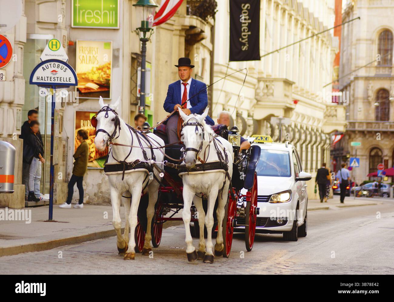 Austria Vienna coach. Shooting Location: Austria, Vienna Stock Photo