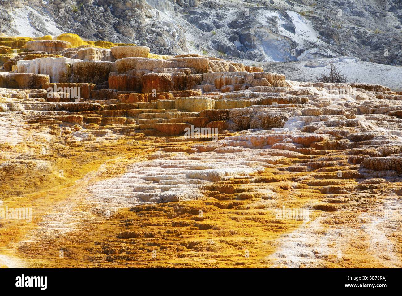Mammoth Hot Springs is a large complex of hot springs on a hill of ...