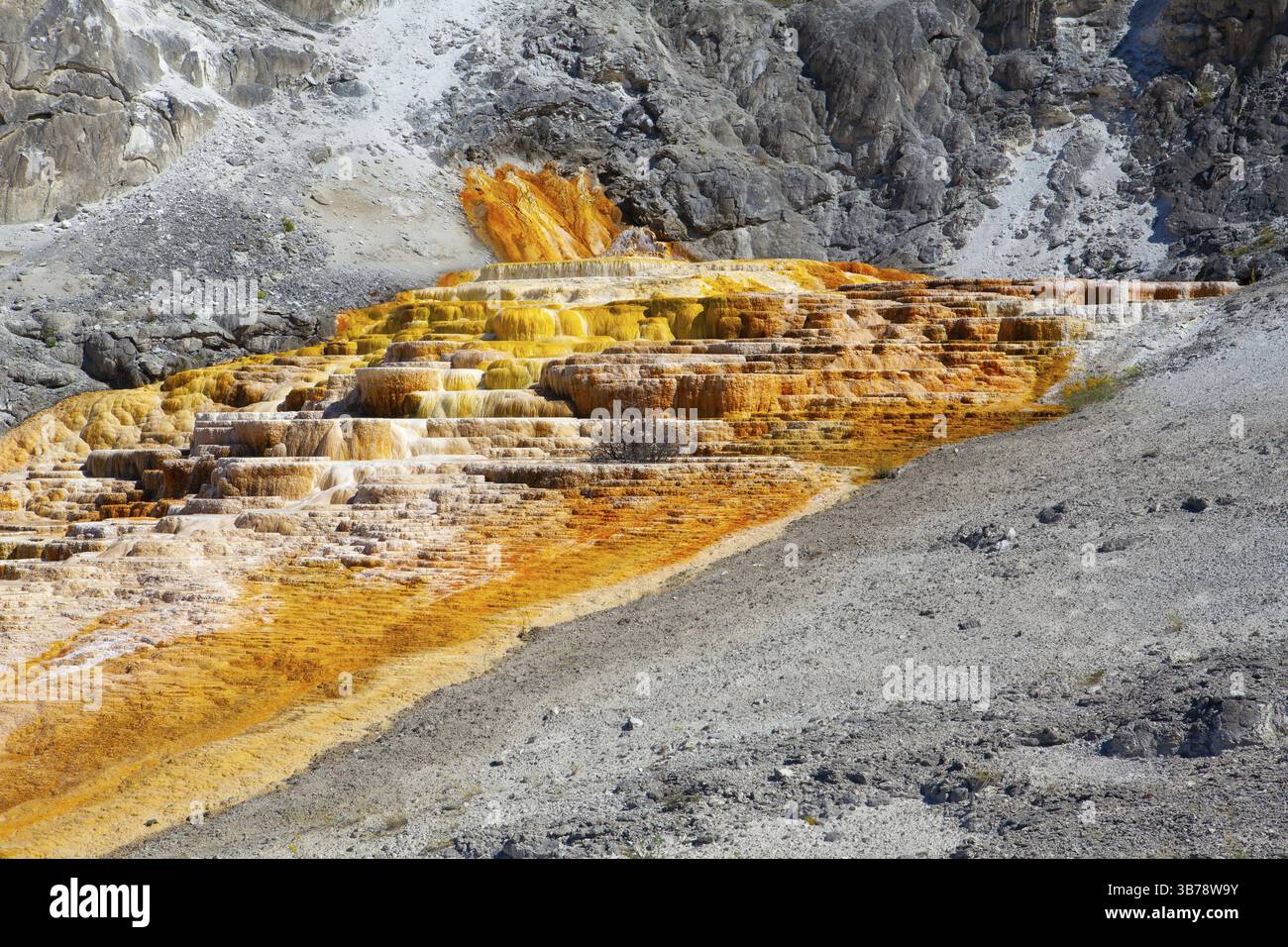 Mammoth Hot Springs is a large complex of hot springs on a hill of ...