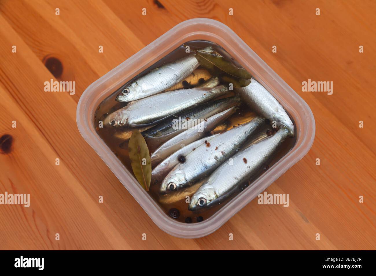 Marinated fish in a plastic container on the table. Marinated sprats in ...