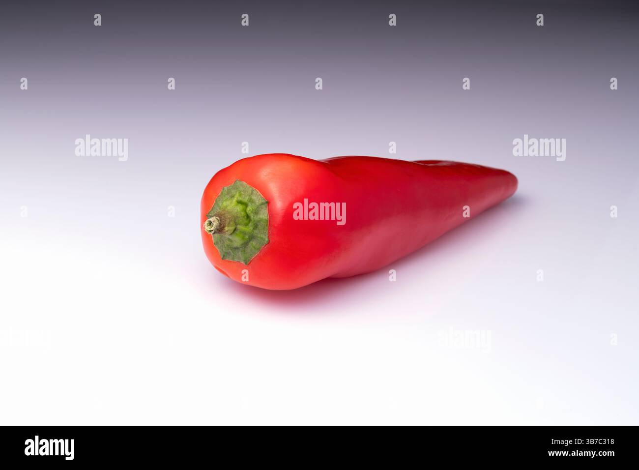 A solitary red Chilli Pepper Stock Photo