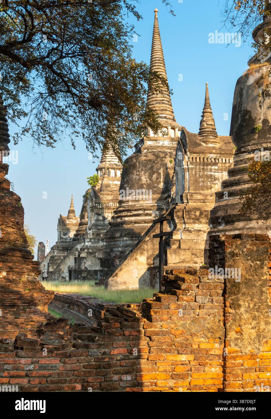 Part of the extensive temple grounds and important historic site,with many old trees growing through the ancient tiled floors,with surrounding brickwo Stock Photo