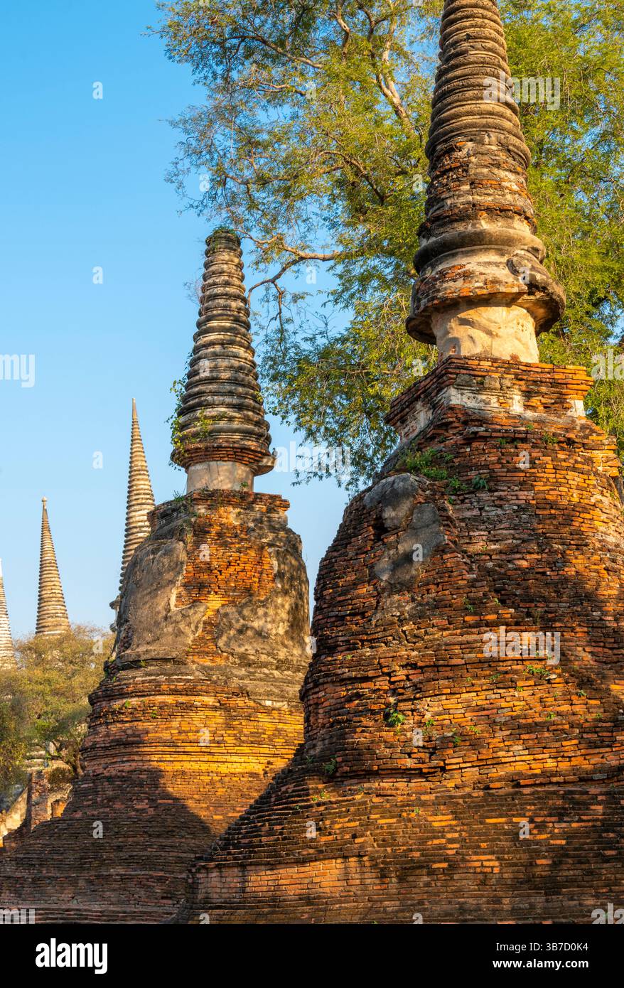 Part of the extensive temple grounds and important historic site,with many ancient Buddhist pagodas,with surrounding brickwork,stood amongst trees,bat Stock Photo