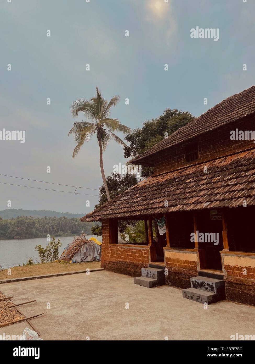 capture life's little moments  . Glimpse of beauty and shot on smartphone big memories in small frames - Smartphone Captured Stock Image