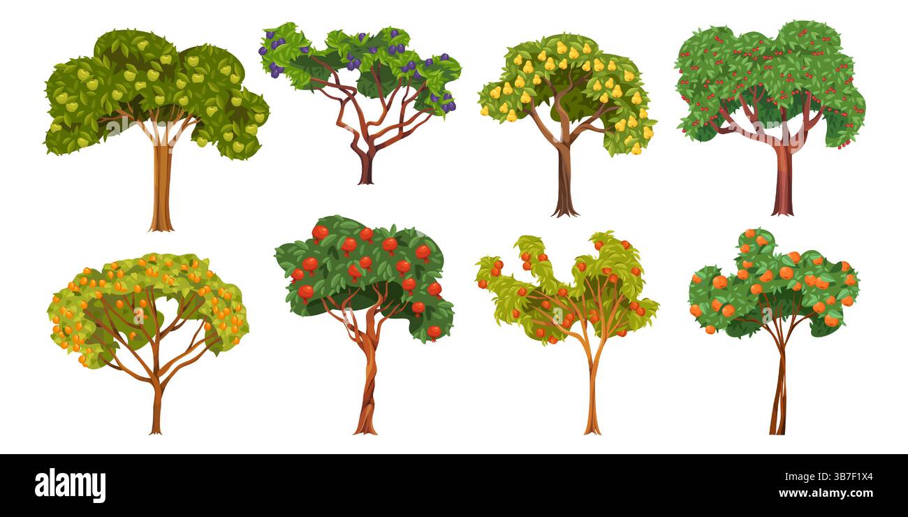 Set of fruit tree. Vector apricot and apple, cherry and plum, pear and peach, pomegranate and tangerine plant. Flora or wood collection. Vegan farming and vegetarian garden. Nature orchard and flora. Stock Vector