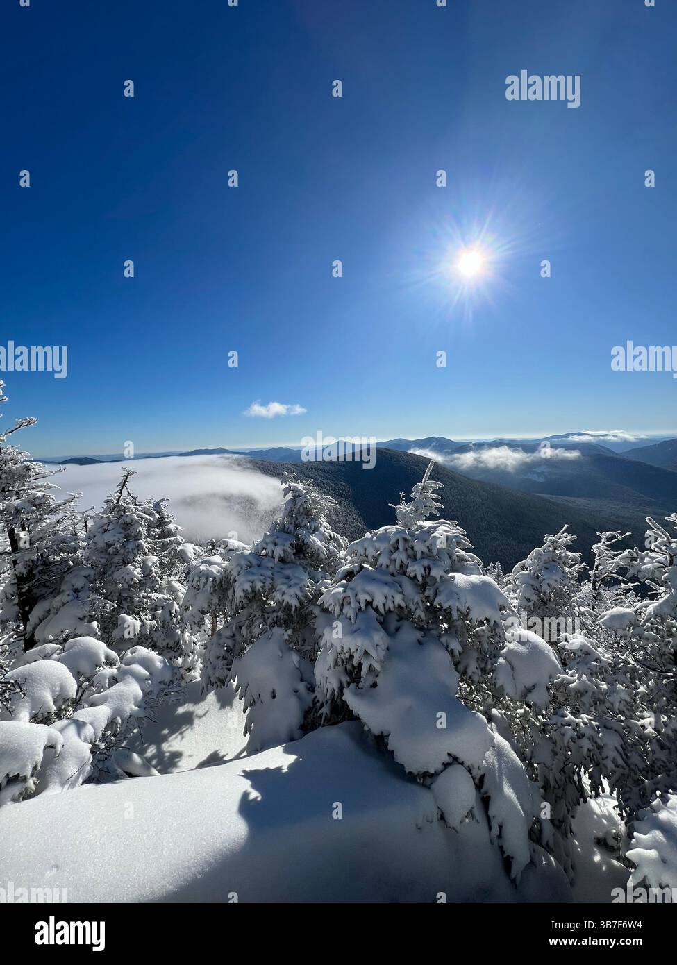 Snow-covered pine trees overlook a cloud inversion in the White Mountains of New Hampshire on a clear winter day. The scene captures a tranquil moment - Smartphone Captured Stock Image