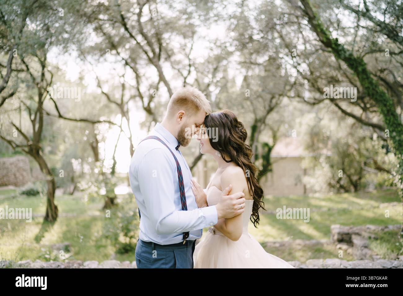The bride and groom stand hugging among the trees in the olive grove ...