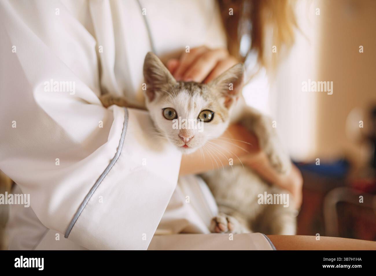 Gray silk robe hi-res stock photography and images - Alamy