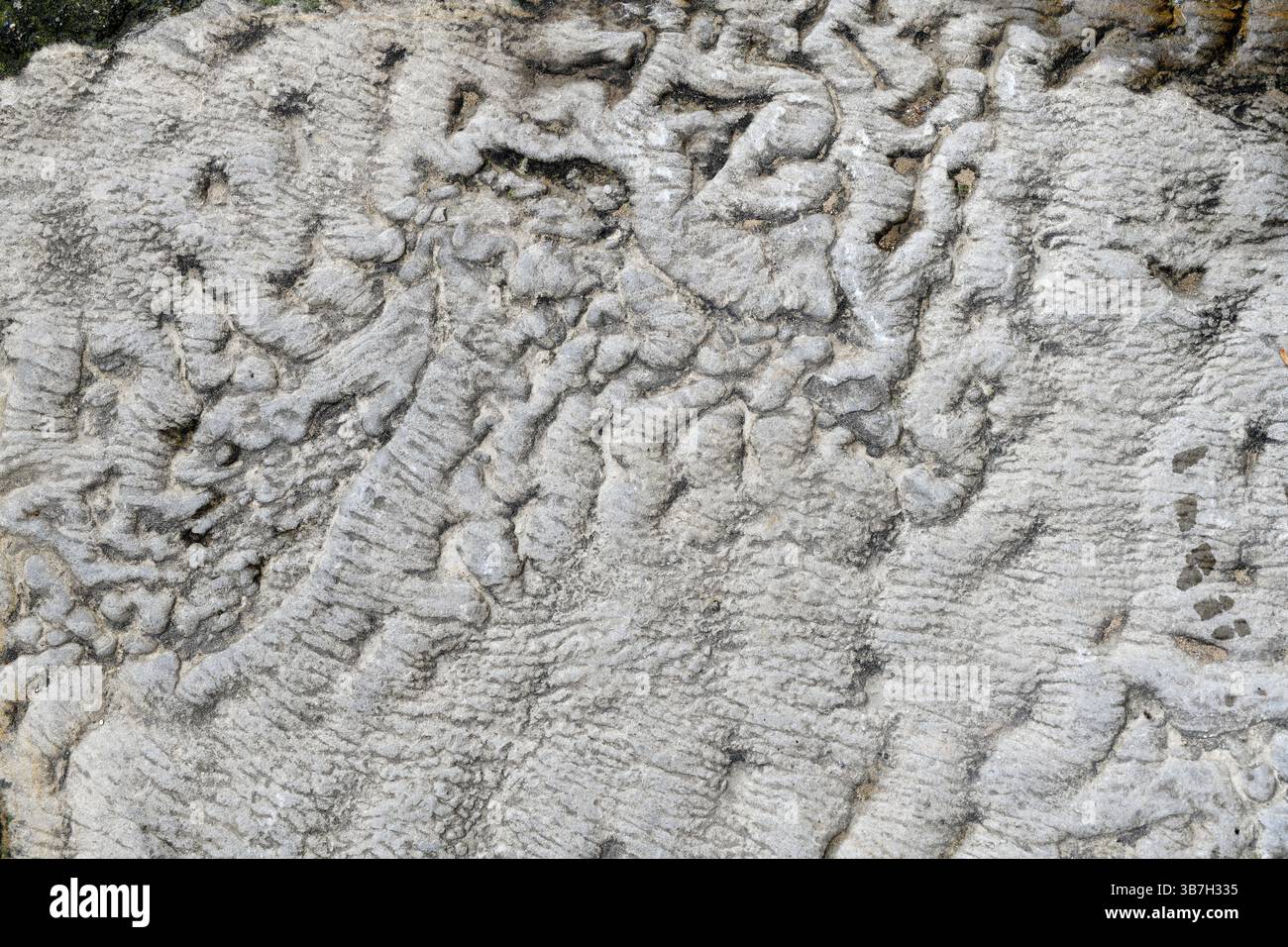 Fossilized ripple marks. Roda de Isábena, Ribagorza, Huesca, Aragón, Spain. Stock Photo