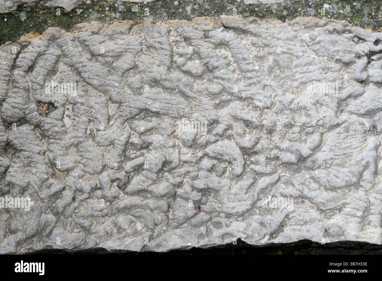 Fossilized ripple marks. Roda de Isábena, Ribagorza, Huesca, Aragón, Spain. Stock Photo