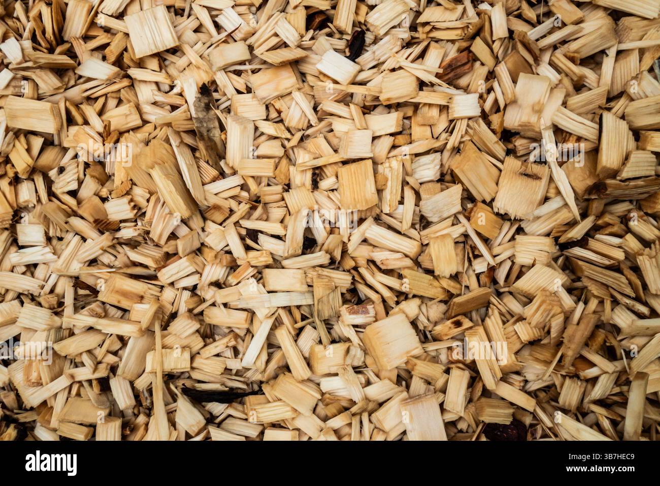 close up pattern of wood chips Stock Photo