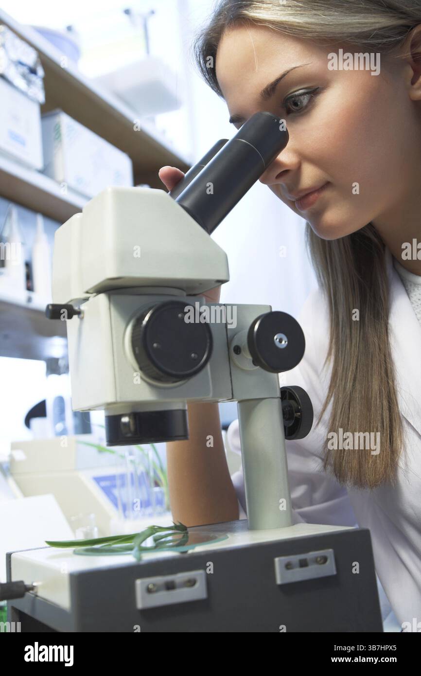 Beauty researcher looking through microscope in laboratory Stock Photo