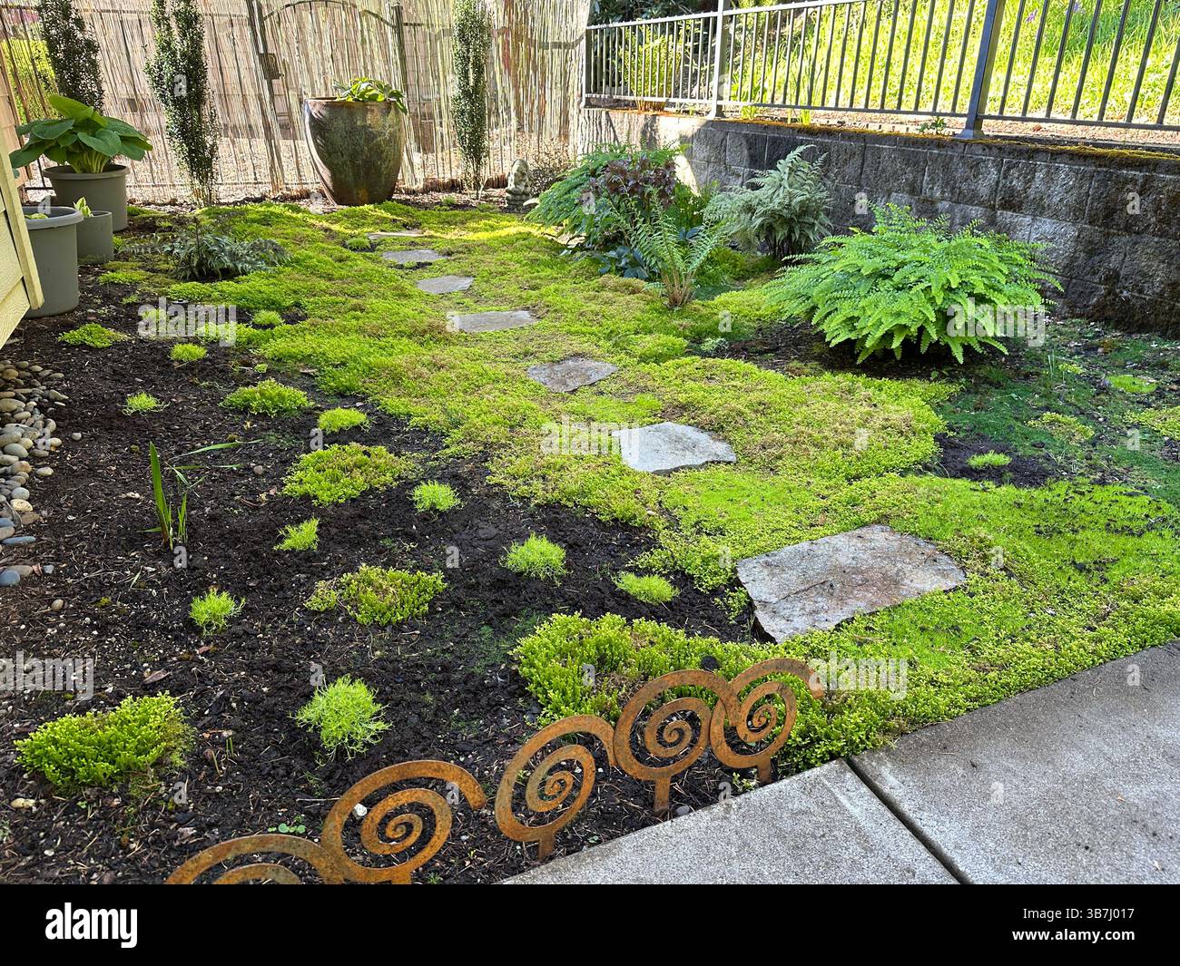 A shade garden with moss, stepping stones, ferns, and hosta plants. Stock Photo