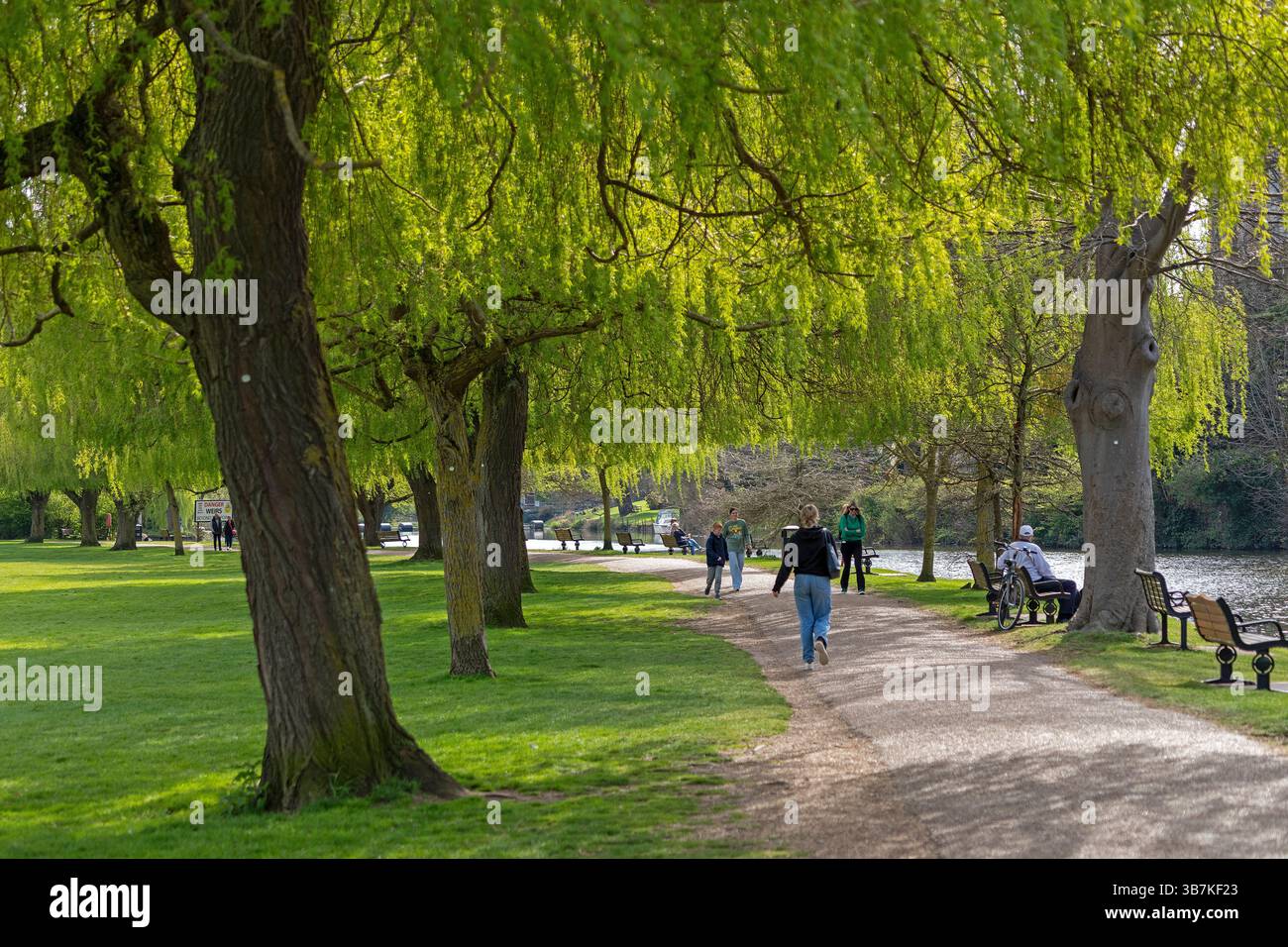 Trees in spring, people, footpath beside the river, Stratford-upon-Avon, Warwickshire, England, Great Britain Stock Photo
