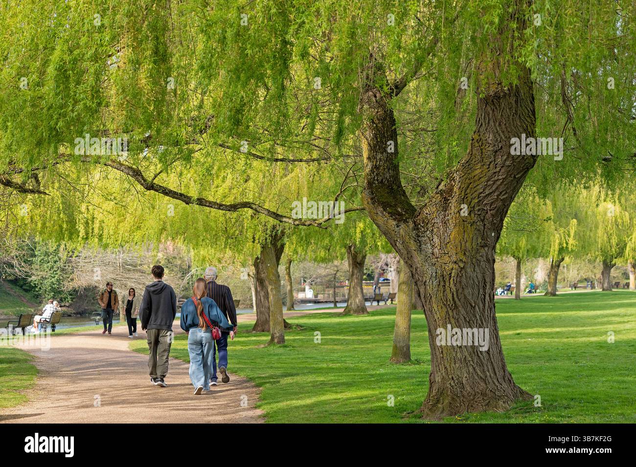 Trees in spring, people, footpath beside the river, Stratford-upon-Avon, Warwickshire, England, Great Britain Stock Photo