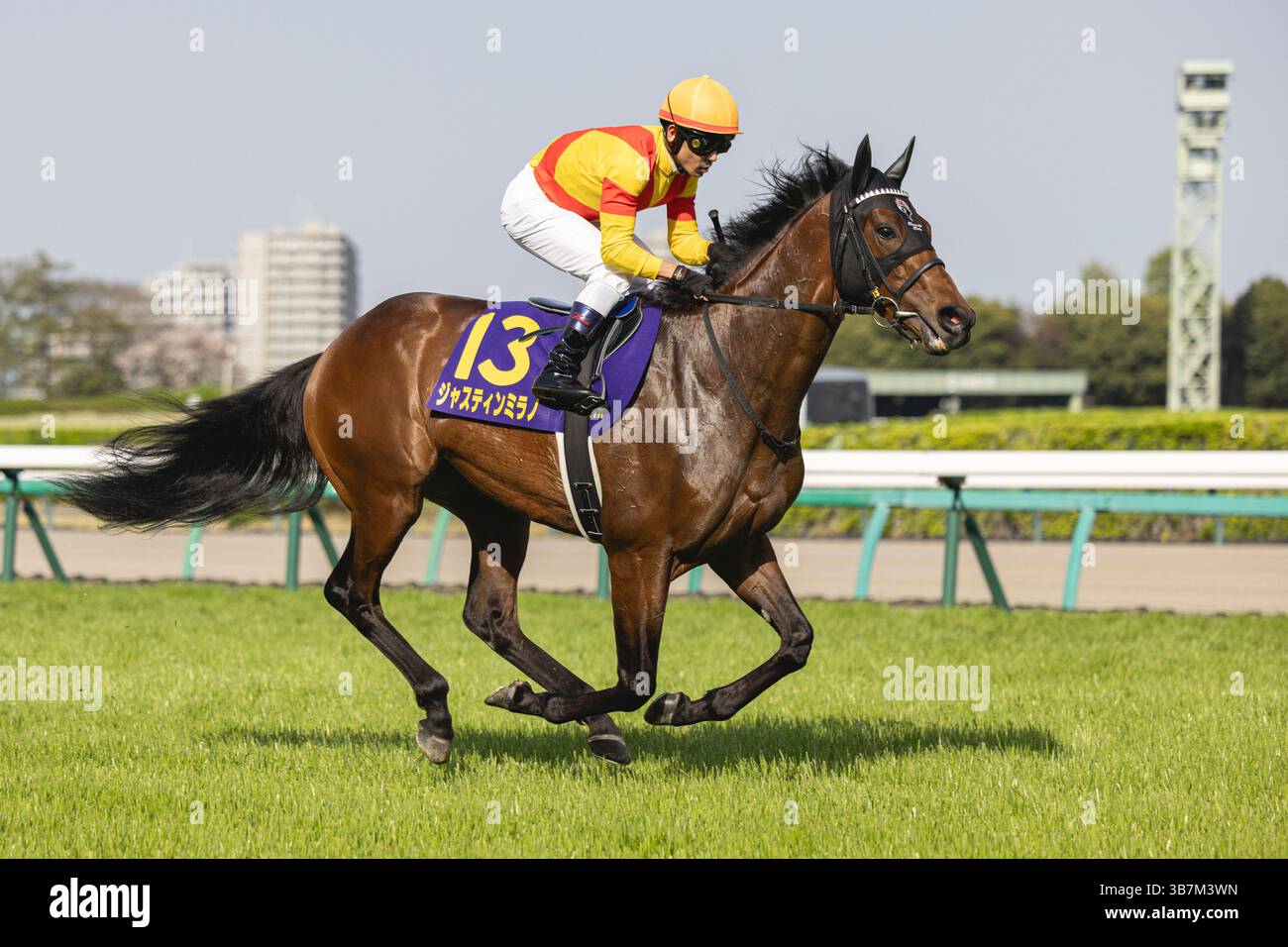 Satsuki nakayama hi-res stock photography and images - Alamy