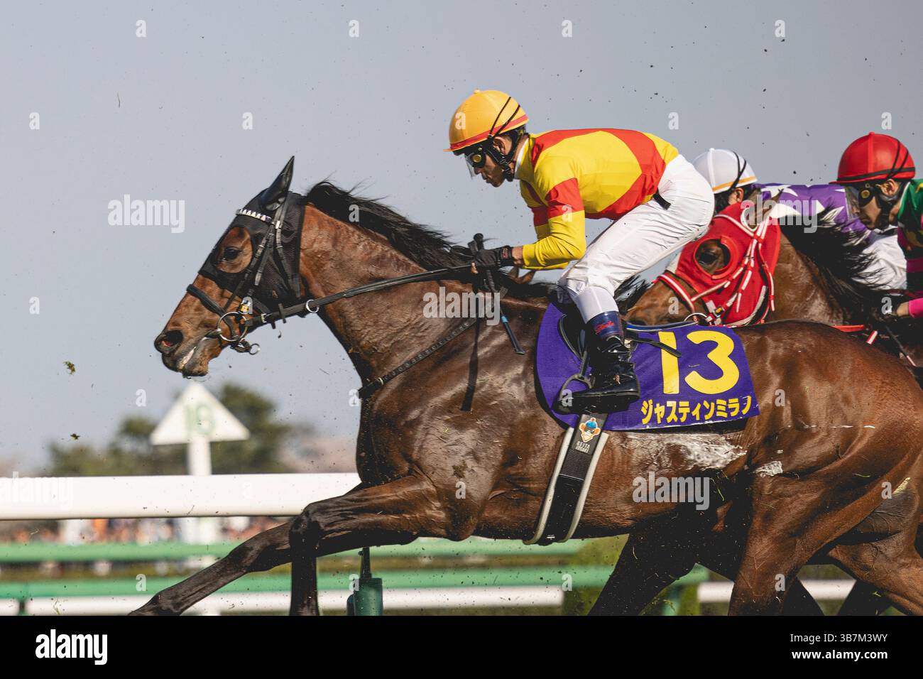 Satsuki nakayama hi-res stock photography and images - Alamy