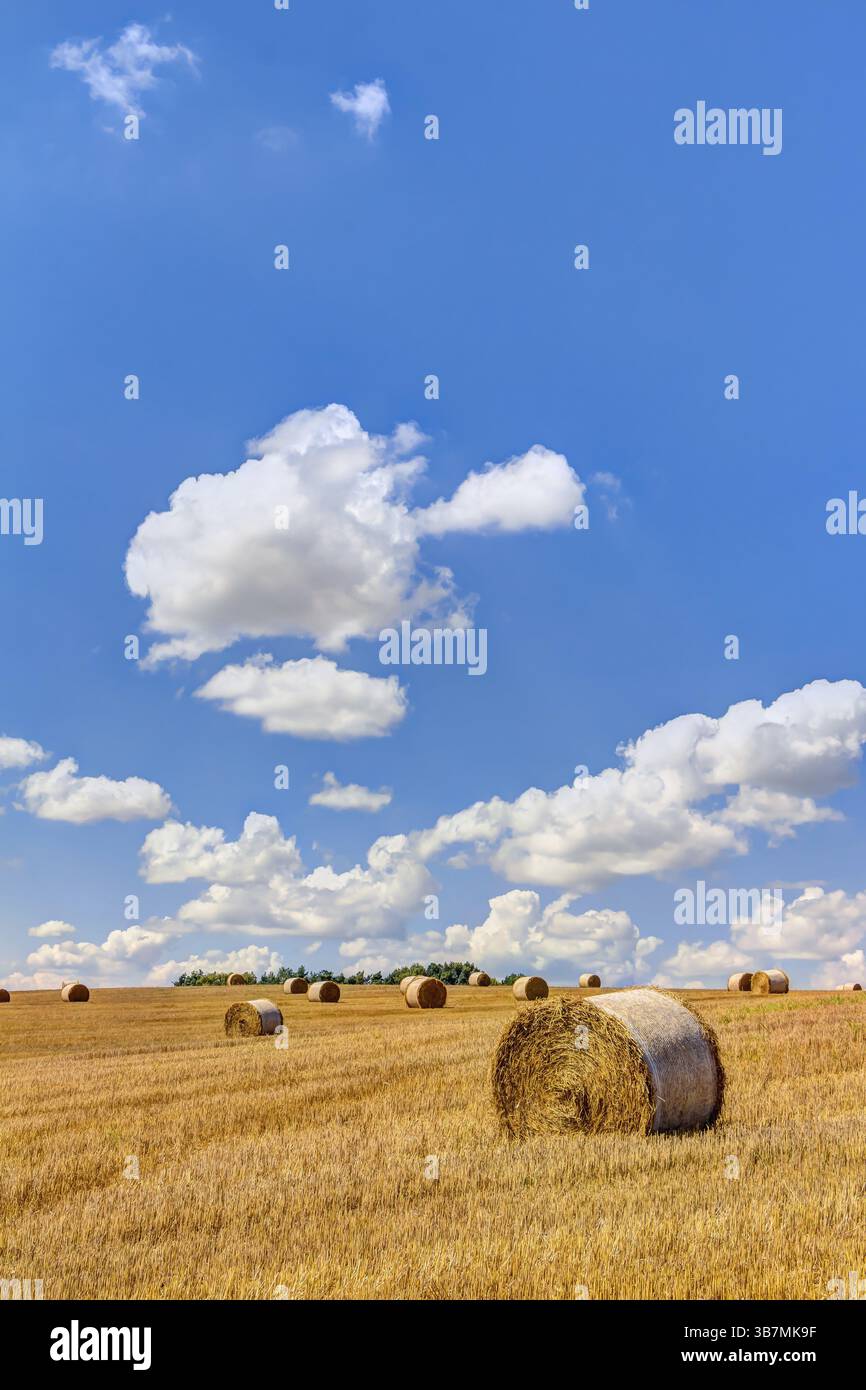 Straw bales at harvest time with blue sky and white clouds Stock Photo ...