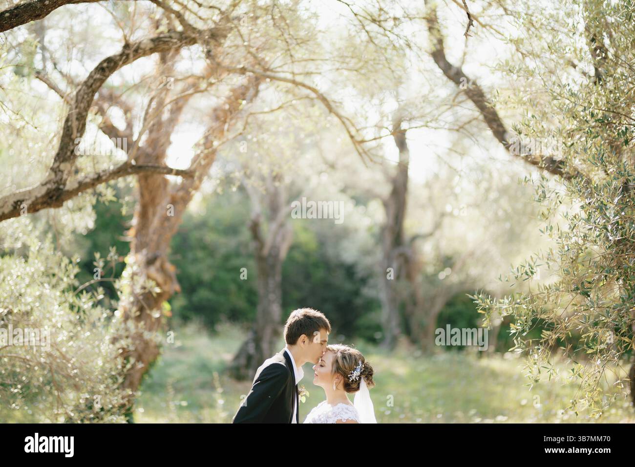 The bride and groom stand embracing in the olive grove, the groom ...