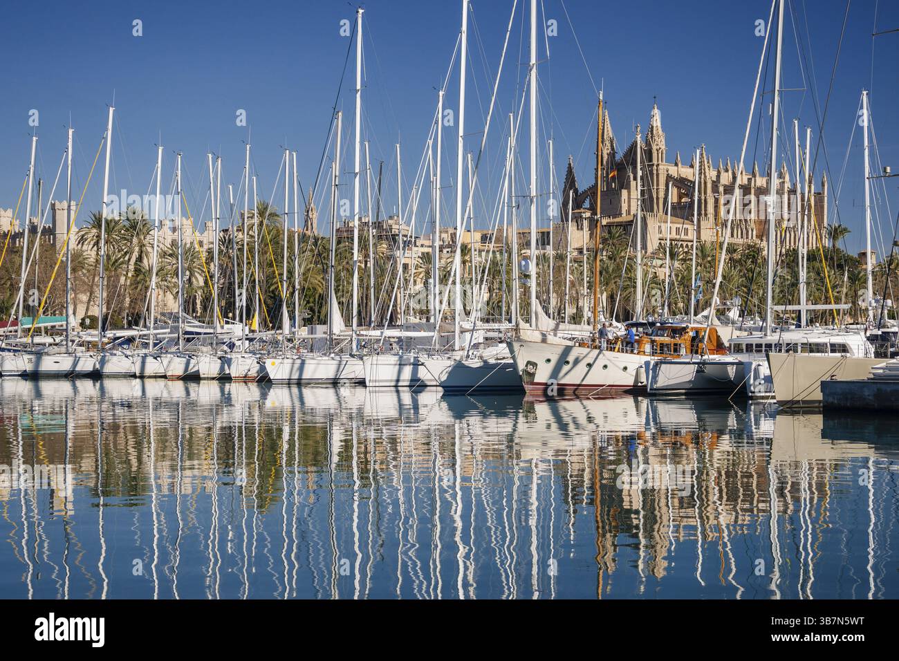 Catedral de Palma desde Moll de la Riba, Palma, mallorca, islas baleares, espana, europa Stock Photo