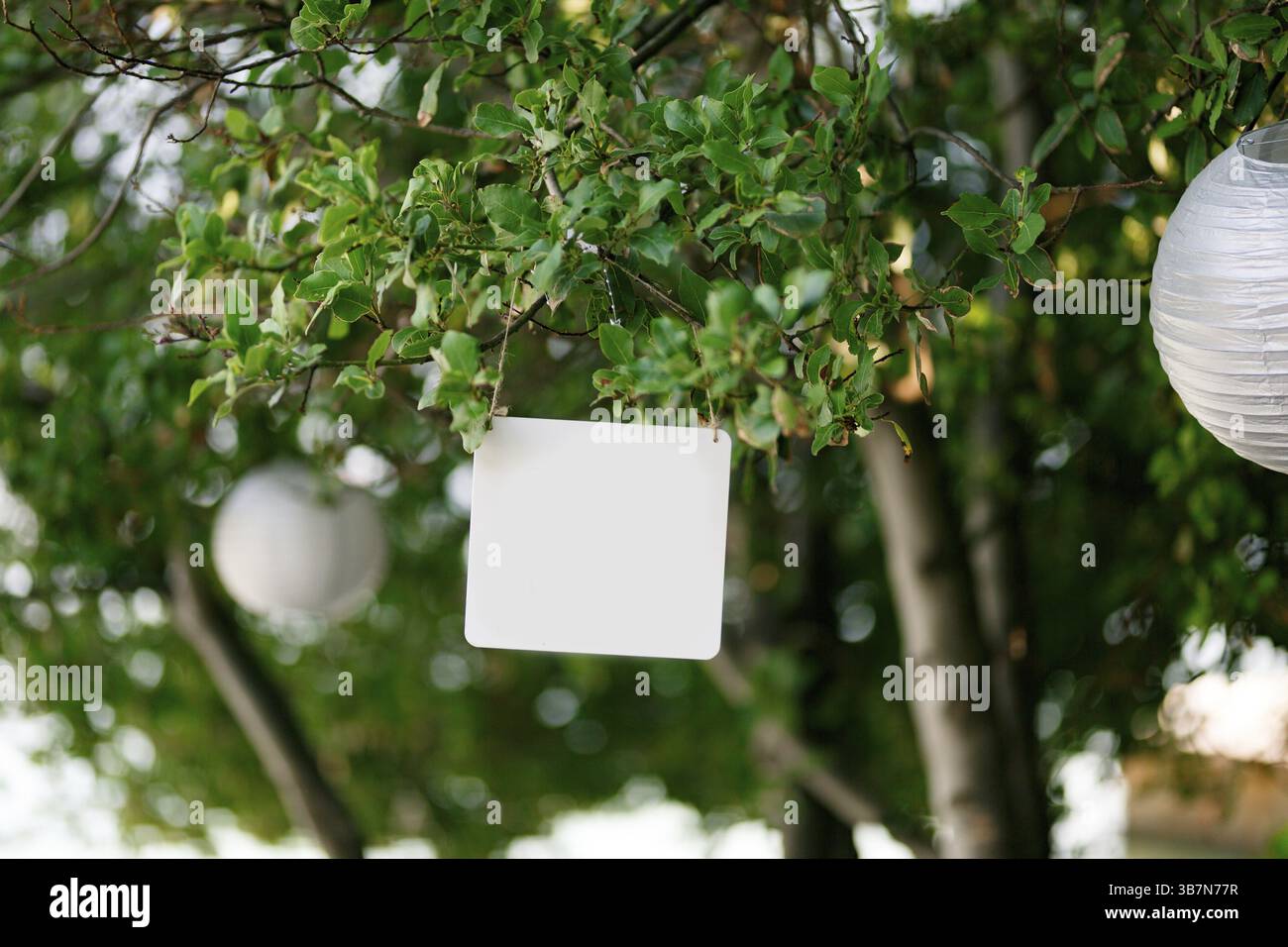 Blank rectangular plaque hanging on a green tree next to the lamps. Stock Photo