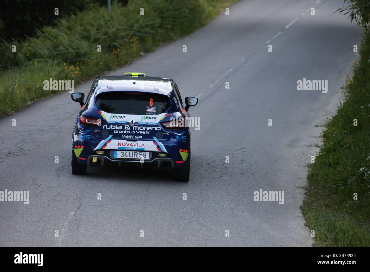Rural Rally Racing A colorful rally car driving on a rural road surrounded by vegetation ...