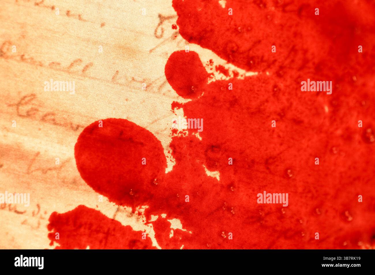 Written with blood hi-res stock photography and images - Alamy