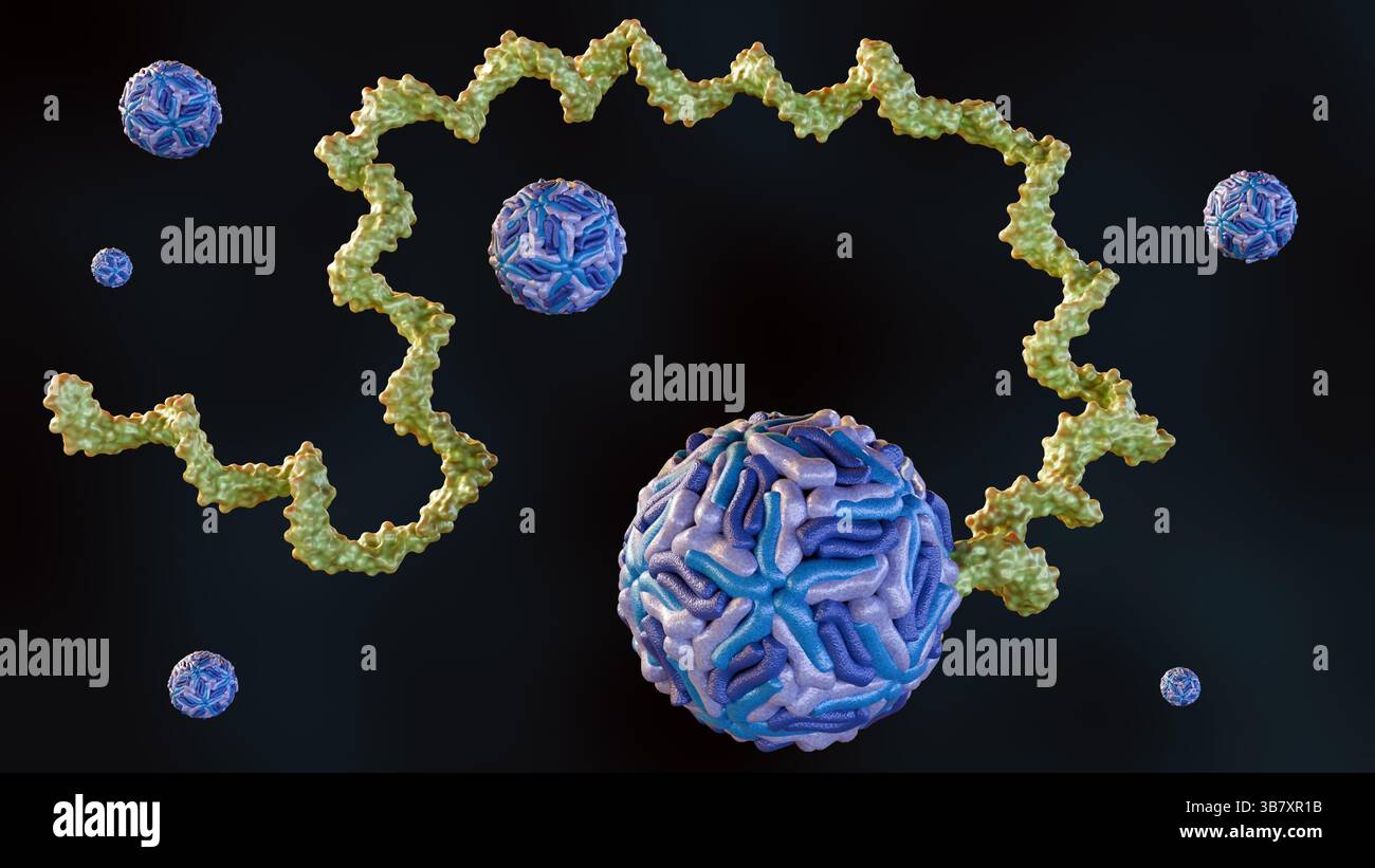 A 3d rendering of single stranded RNA molecule appears to be emerging ...